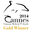 Gold Winner at Cannes Corporate Media and TV Awards